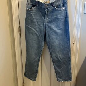 Democracy Classic Blue Jeans